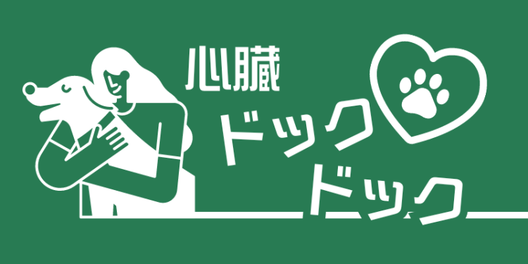 カワイイがいっぱい！ワンダーランド